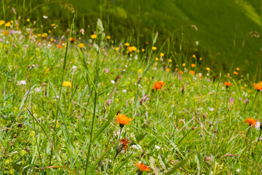 Similar image 2966647