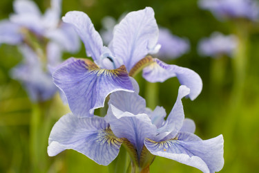 Similar image 2966667