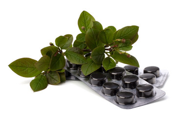 Similar image 2966668