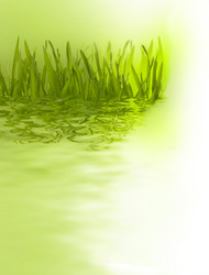 Similar image 2966669