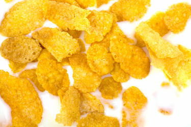 Similar image 2966673