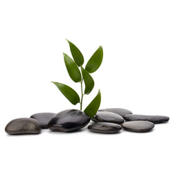 Similar image 2966688