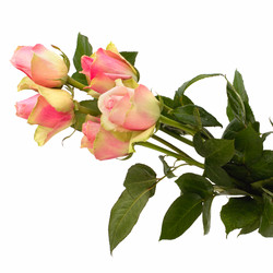 Similar image 2966727