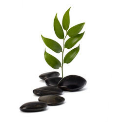 Similar image 2966740