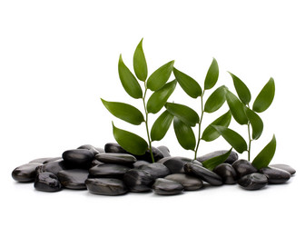 Similar image 2966744