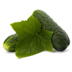 Similar image 2966756