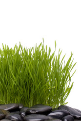 Similar image 2966821