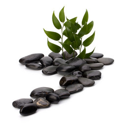 Similar image 2966830