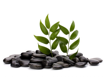 Similar image 2966874