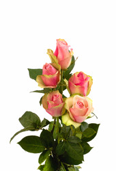 Similar image 2966903