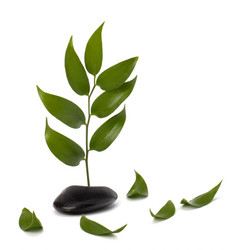 Similar image 2966902