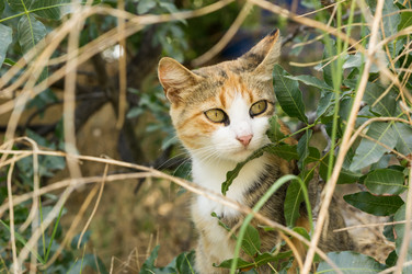 Similar image 2966967