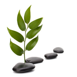 Similar image 2966996