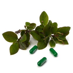 Similar image 2967010