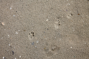 Similar image 2967031