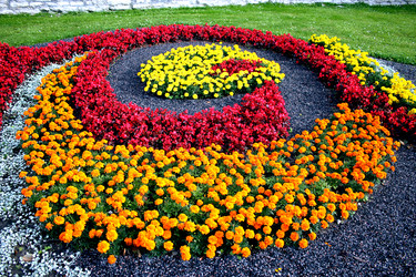 Similar image 2967032