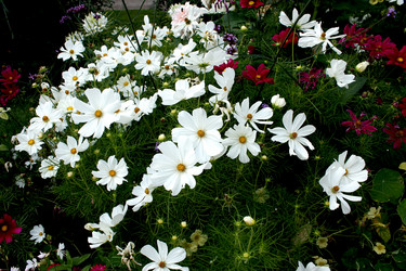 Similar image 2967035