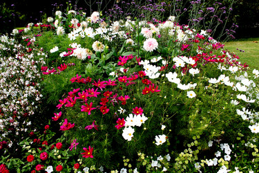 Similar image 2967036