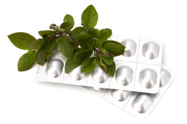 Similar image 2967041