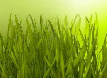 Similar image 2967047