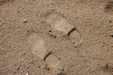 Similar image 2967062