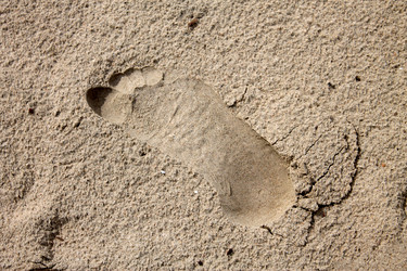 Similar image 2967063