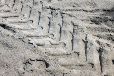 Similar image 2967066