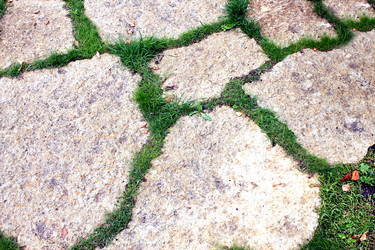 Similar image 2967073