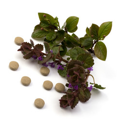 Similar image 2967086