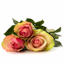 Similar image 2967116