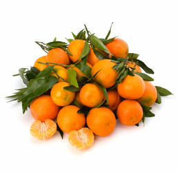 Similar image 2967123