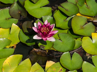 Similar image 2967138