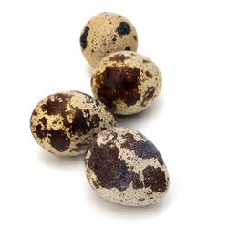 Similar image 2967193