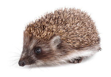 Similar image 2967200