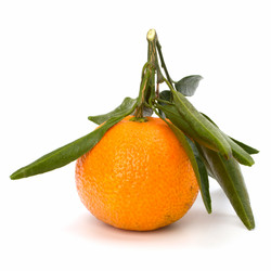 Similar image 2967315