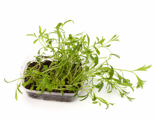 Similar image 2967352