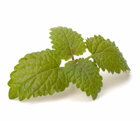 Similar image 2967355