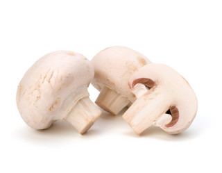 Similar image 2967369