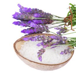 Similar image 2967382