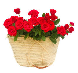 Similar image 2967386