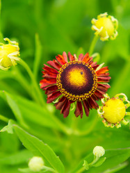 Similar image 2967391