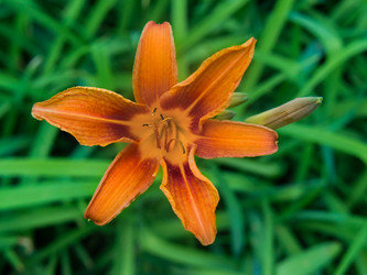 Similar image 2967392