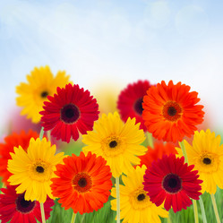 Similar image 2967409