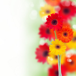 Similar image 2967410