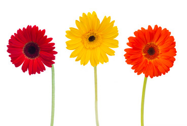 Similar image 2967412