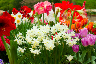 Similar image 2967442