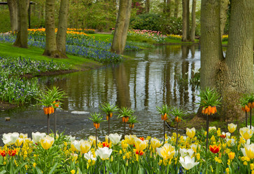 Similar image 2967443