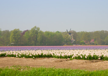 Similar image 2967449