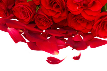 Similar image 2967460