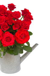 Similar image 2967461